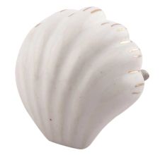 White Sea Shell Ceramic Drawer Knob